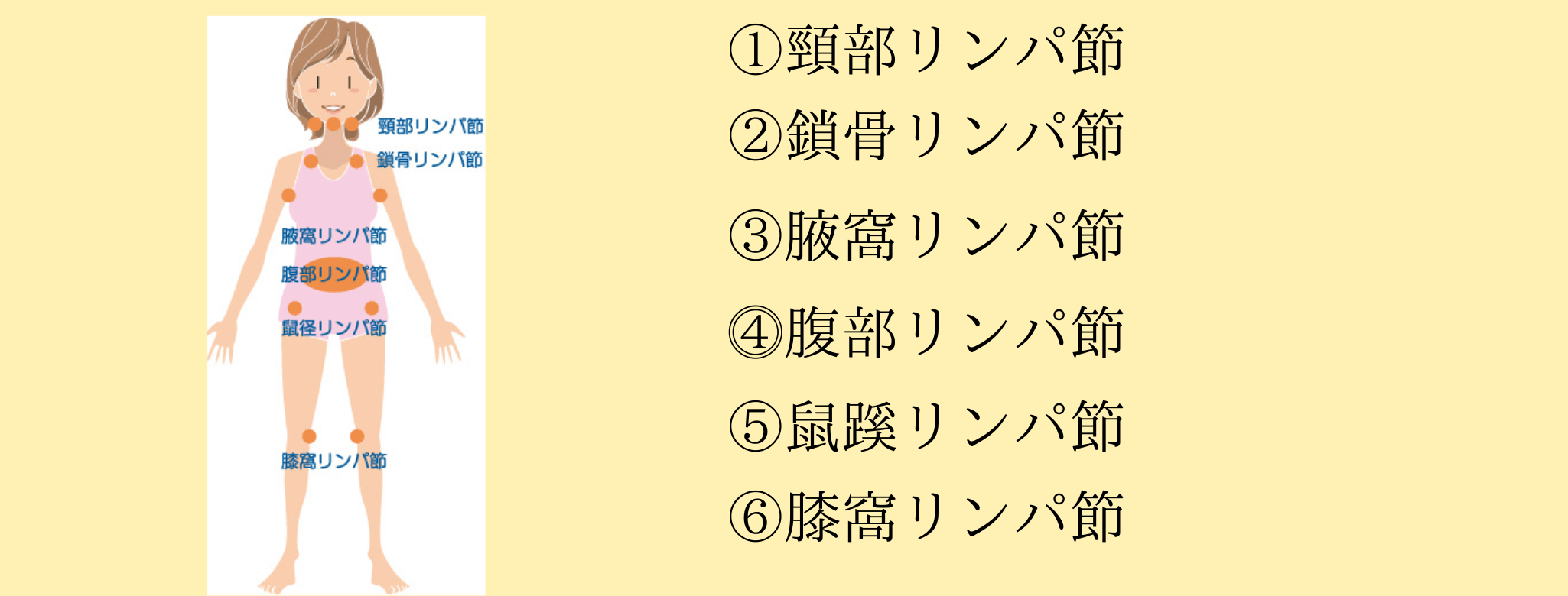 リンパって何 京都北区の うつ パニック障害 不眠 メンタル整体